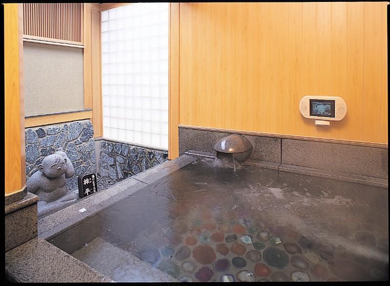 Hotel Seifuuen Shibata  Einrichtungen foto